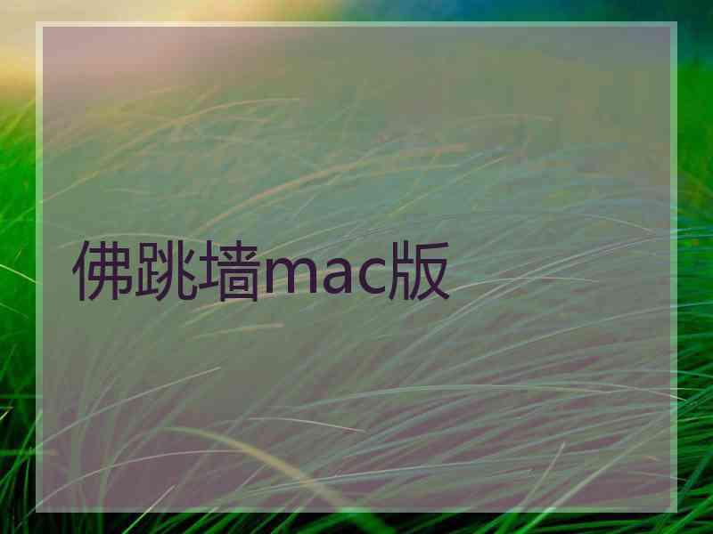 佛跳墙mac版