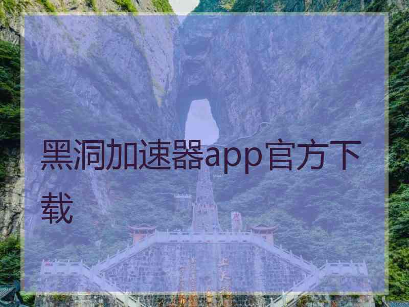 黑洞加速器app官方下载