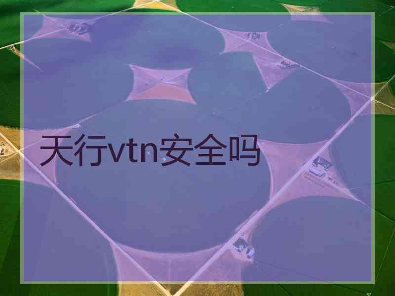 天行vtn安全吗