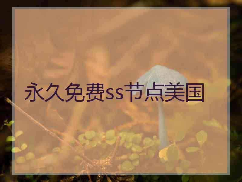 永久免费ss节点美国