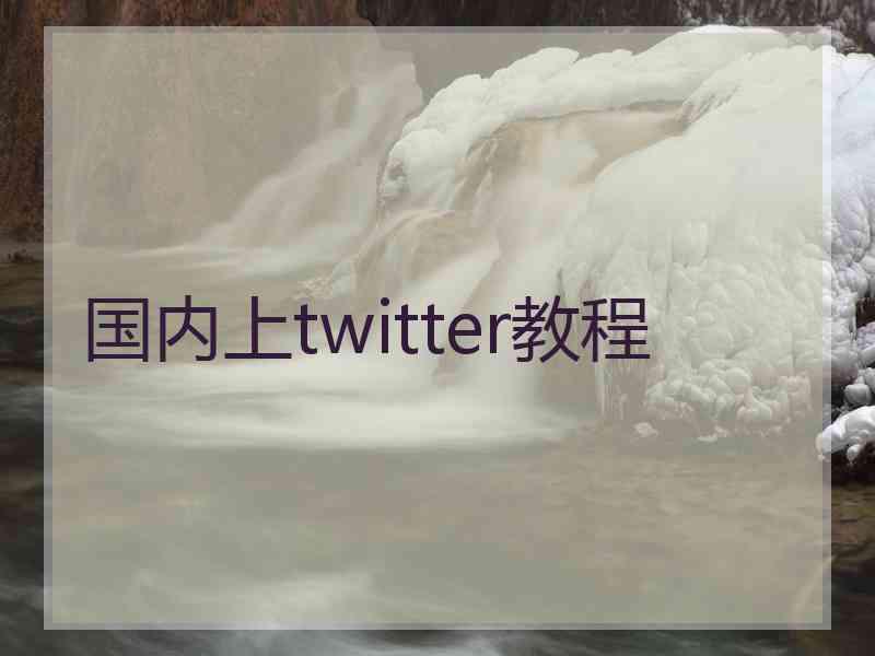 国内上twitter教程