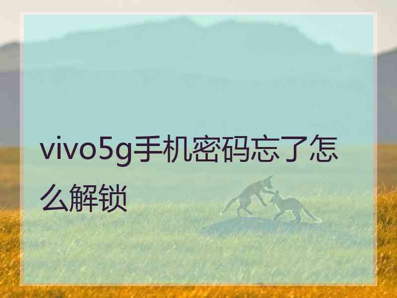 vivo5g手机密码忘了怎么解锁