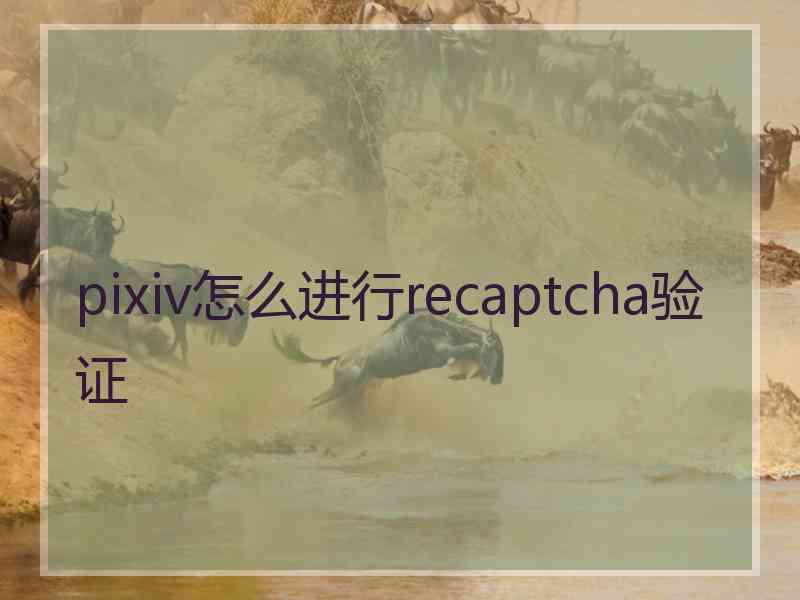 pixiv怎么进行recaptcha验证