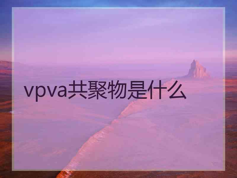 vpva共聚物是什么