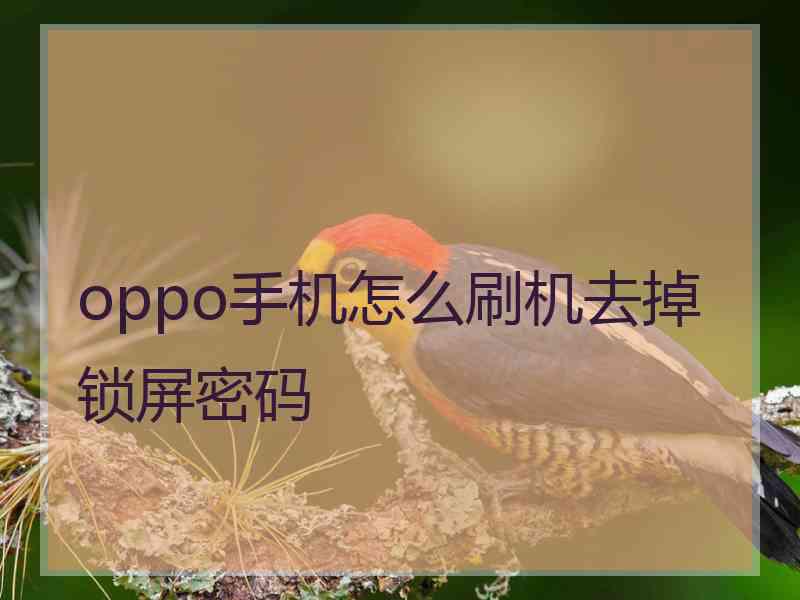 oppo手机怎么刷机去掉锁屏密码