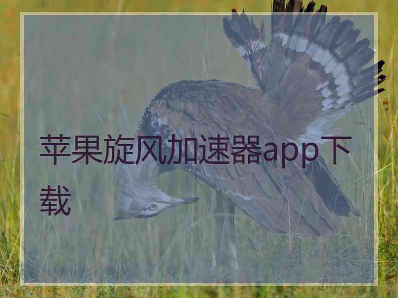 苹果旋风加速器app下载