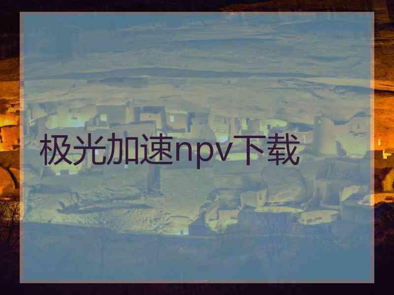 极光加速npv下载