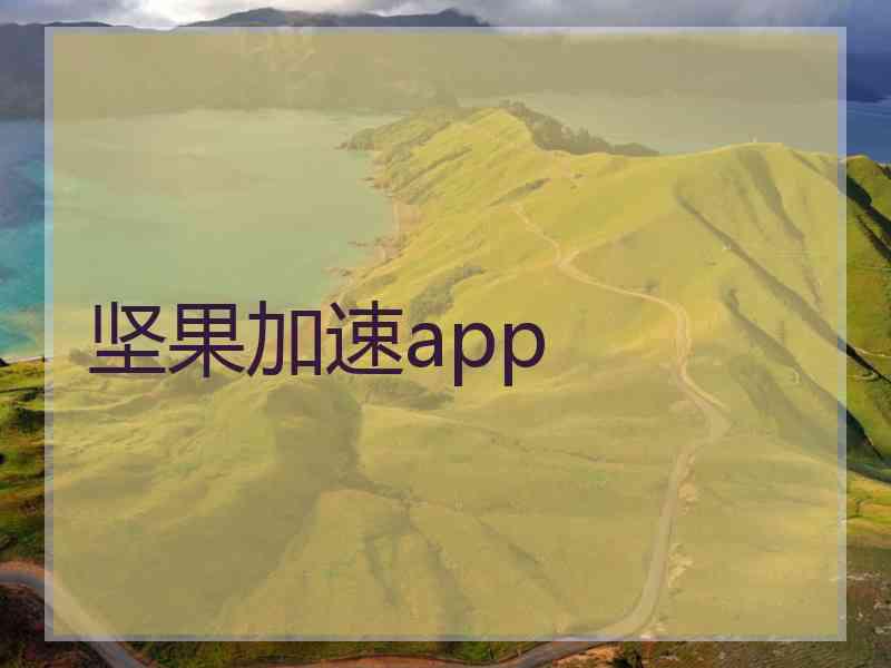 坚果加速app