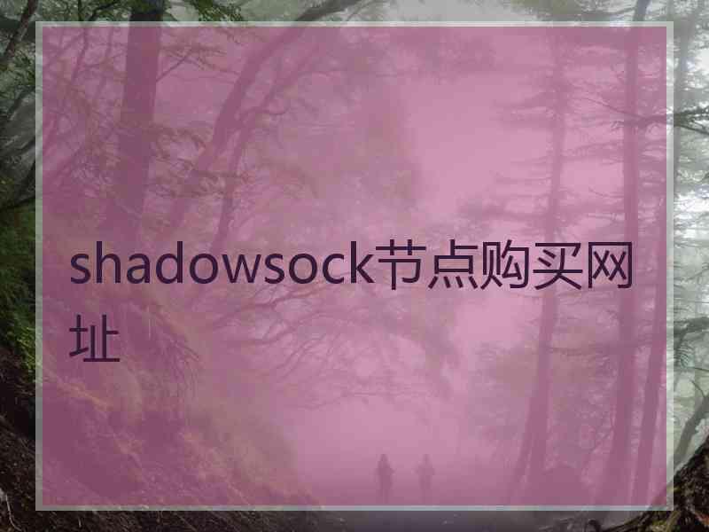 shadowsock节点购买网址