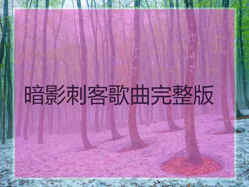 暗影刺客歌曲完整版