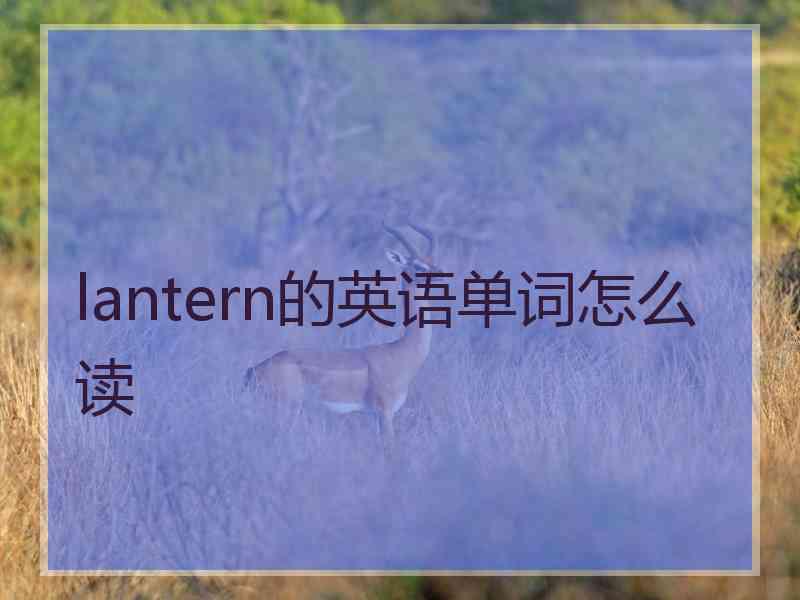 lantern的英语单词怎么读