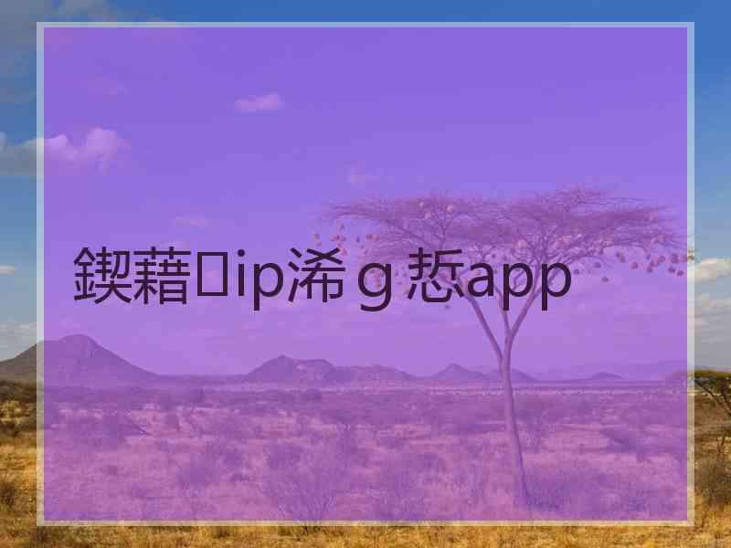 鍥藉ip浠ｇ悊app