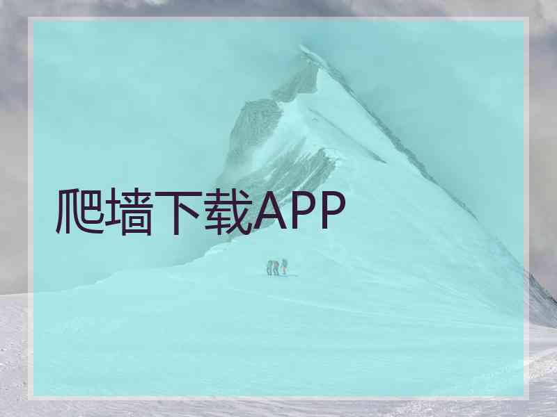 爬墙下载APP