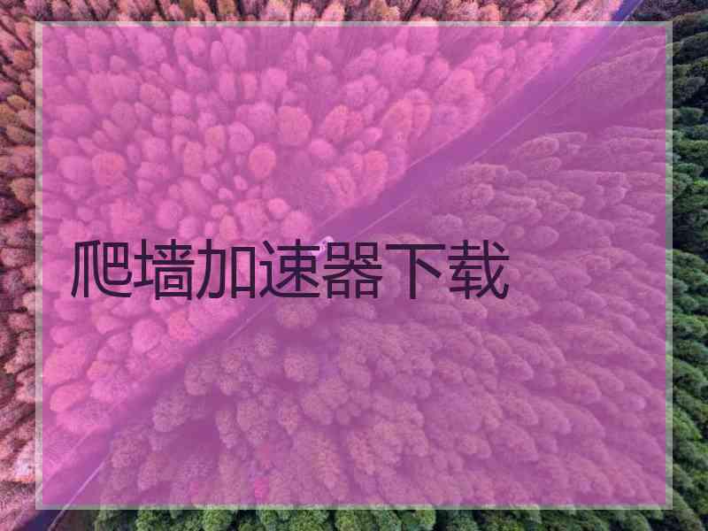 爬墙加速器下载