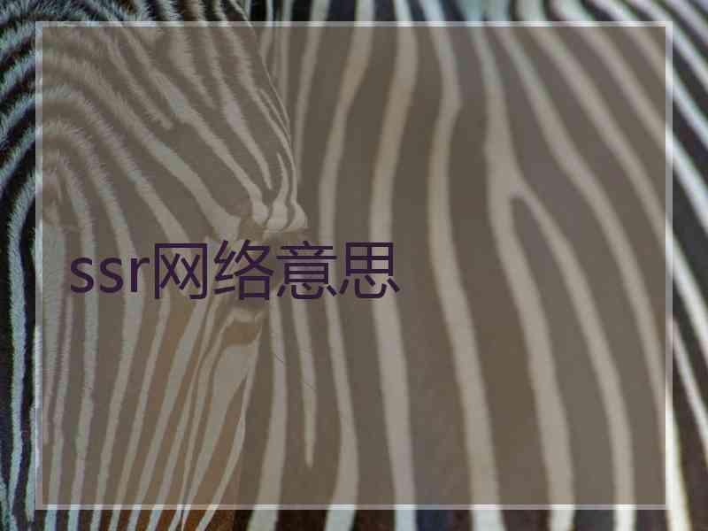 ssr网络意思