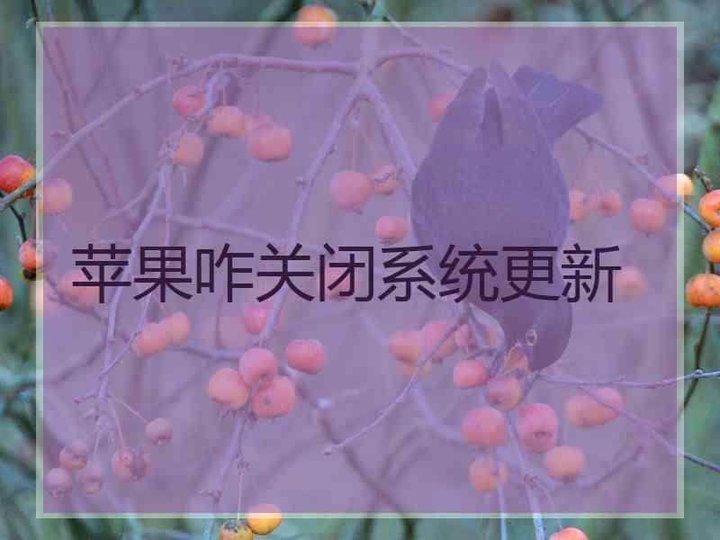 苹果咋关闭系统更新