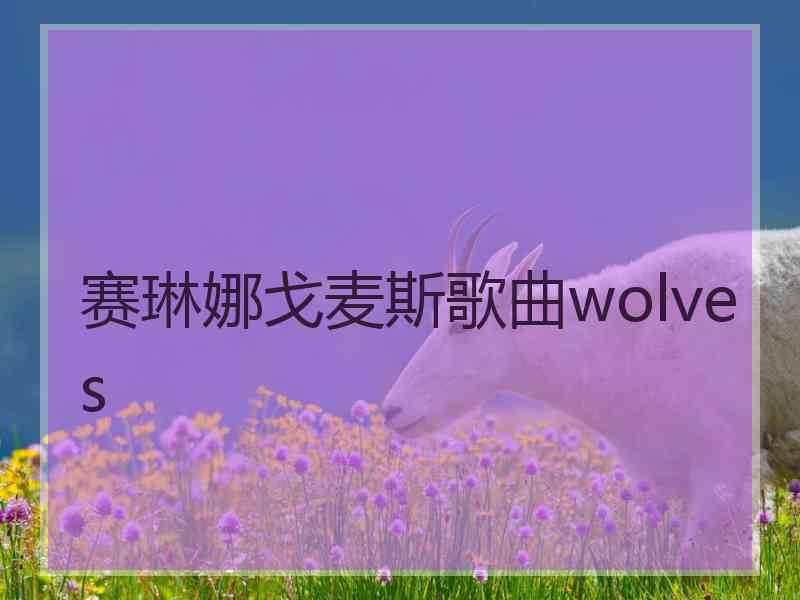 赛琳娜戈麦斯歌曲wolves