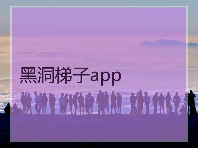 黑洞梯子app