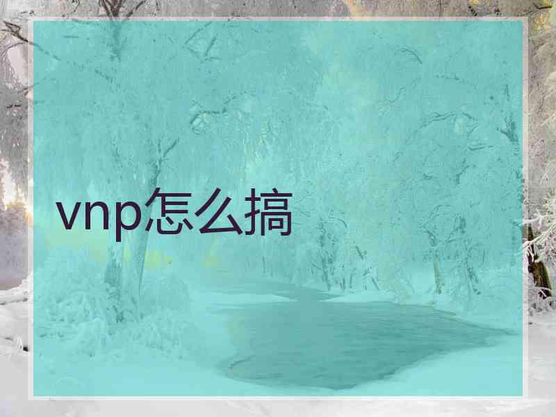 vnp怎么搞