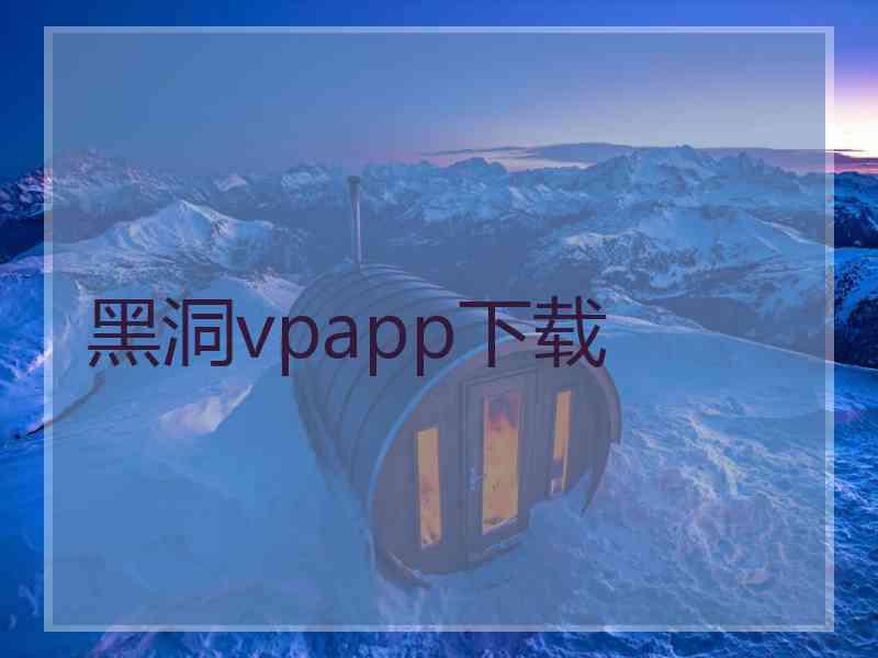 黑洞vpapp下载