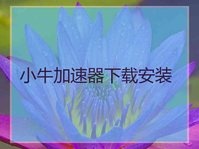 小牛加速器下载安装