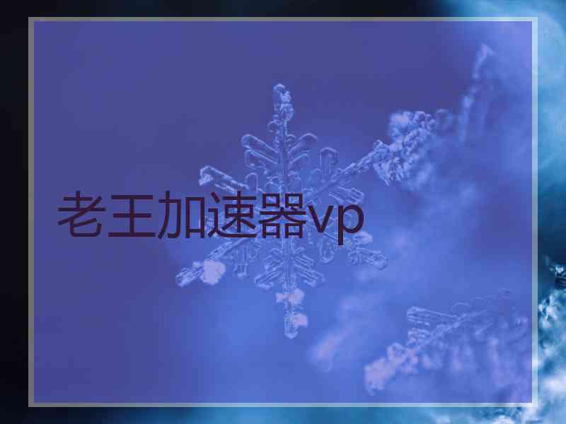 老王加速器vp