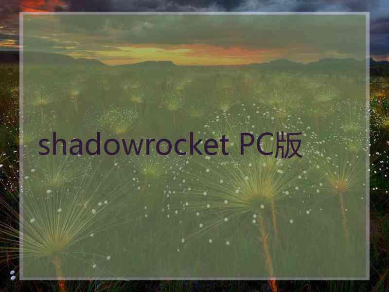 shadowrocket PC版