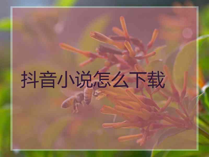 抖音小说怎么下载