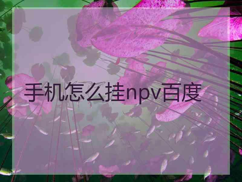 手机怎么挂npv百度