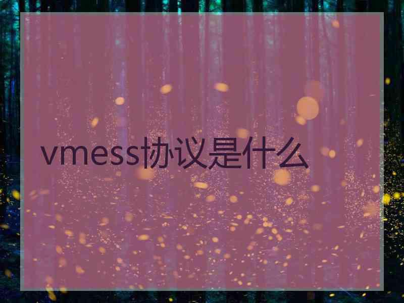 vmess协议是什么