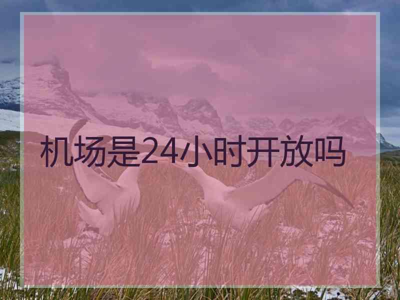 机场是24小时开放吗