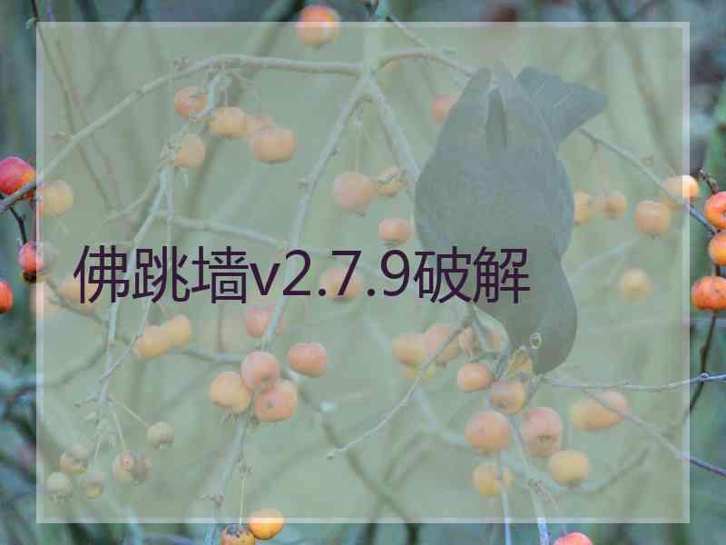 佛跳墙v2.7.9破解