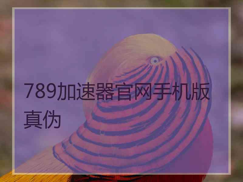 789加速器官网手机版真伪