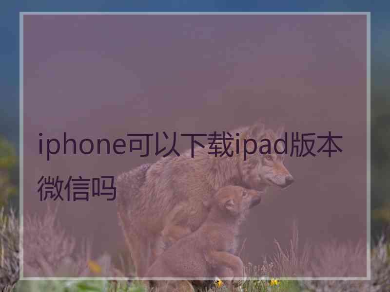 iphone可以下载ipad版本微信吗