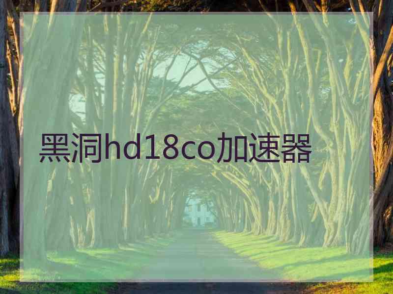 黑洞hd18co加速器