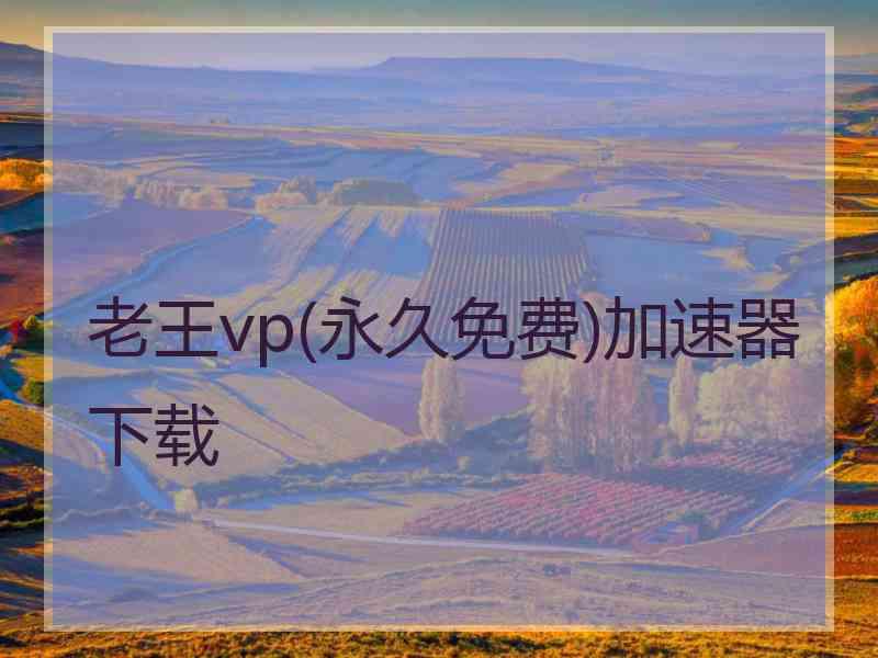 老王vp(永久免费)加速器下载