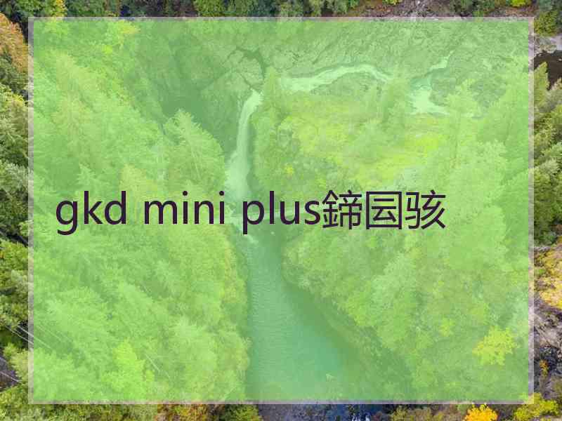 gkd mini plus鍗囩骇