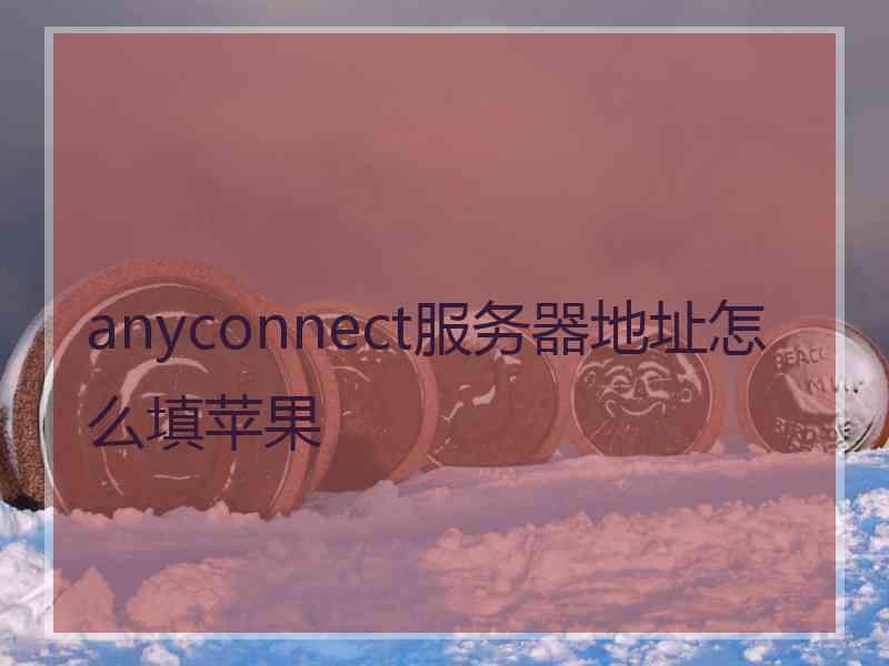 anyconnect服务器地址怎么填苹果