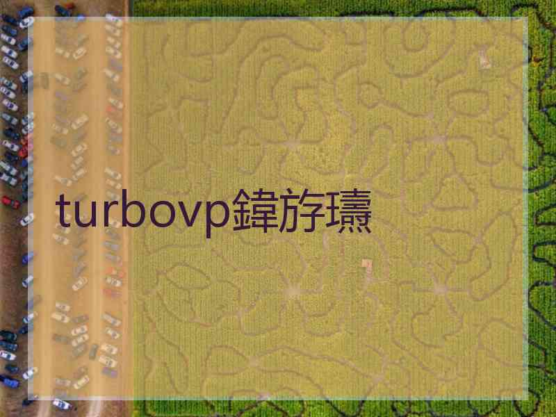 turbovp鍏斿瓙