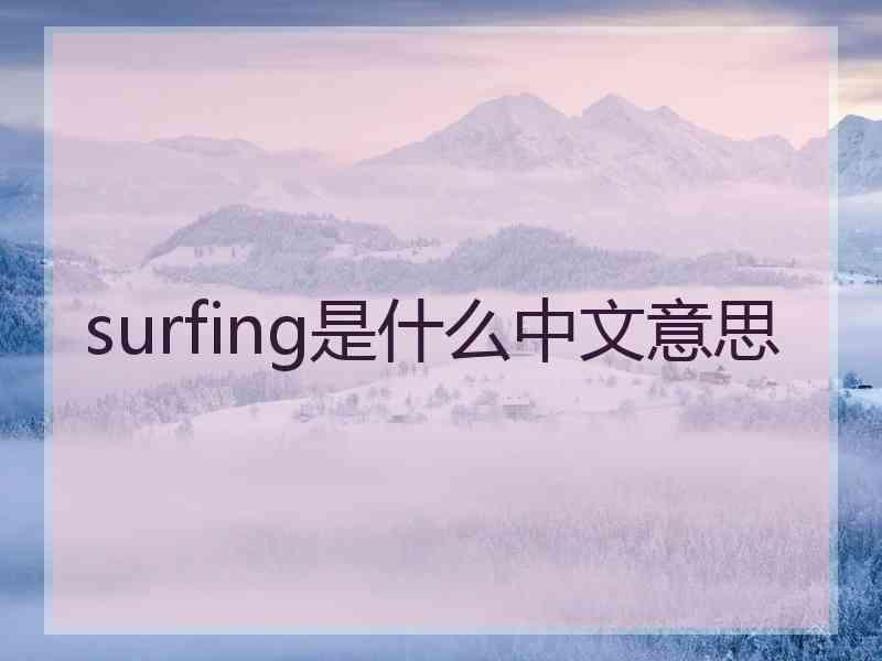 surfing是什么中文意思