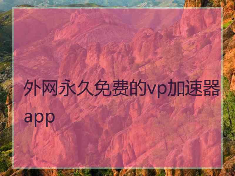 外网永久免费的vp加速器app