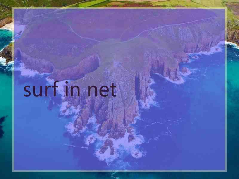 surf in net