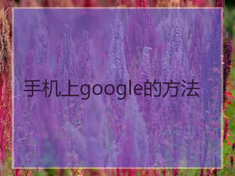 手机上google的方法