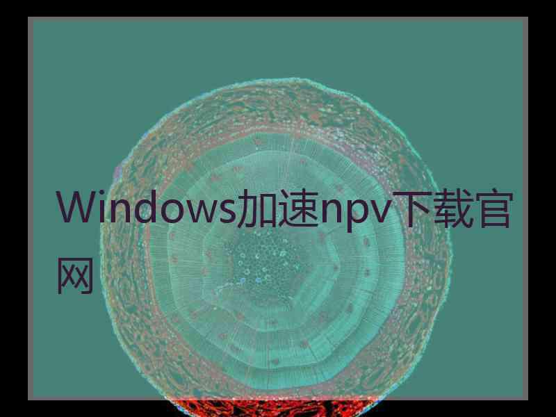 Windows加速npv下载官网