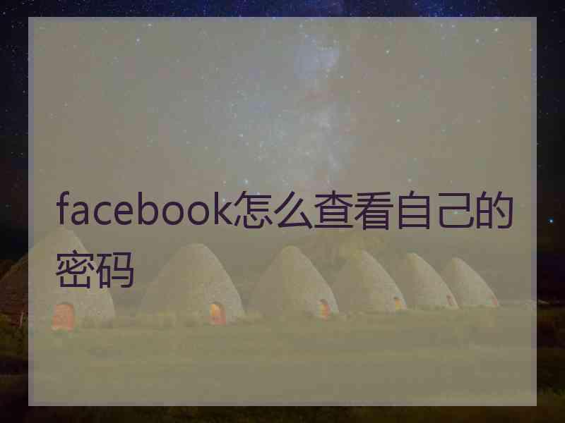 facebook怎么查看自己的密码