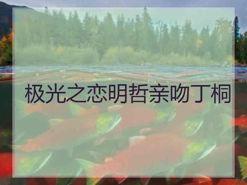 极光之恋明哲亲吻丁桐