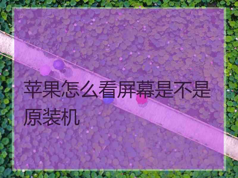 苹果怎么看屏幕是不是原装机