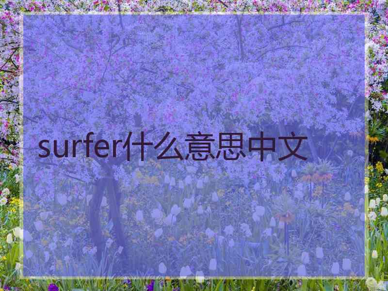 surfer什么意思中文