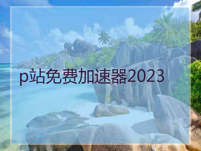 p站免费加速器2023