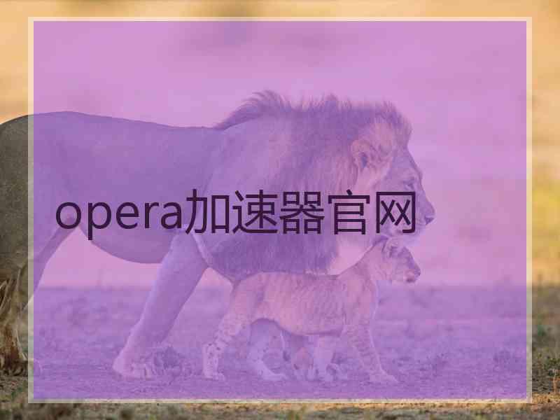 opera加速器官网